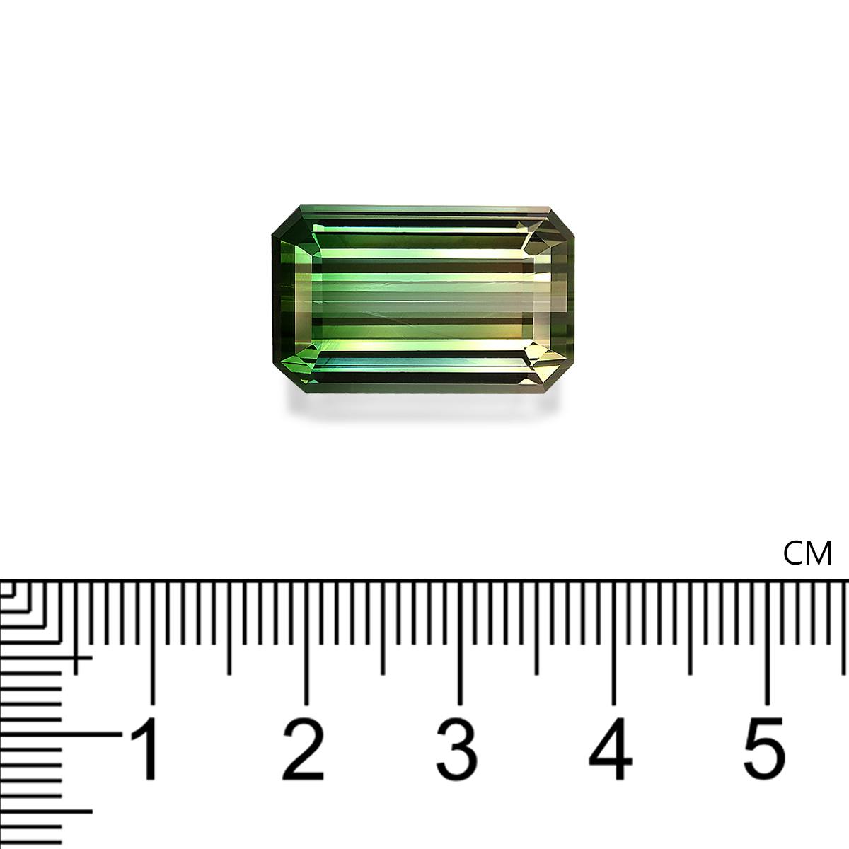Bi Colour Tourmaline 23.83 ct